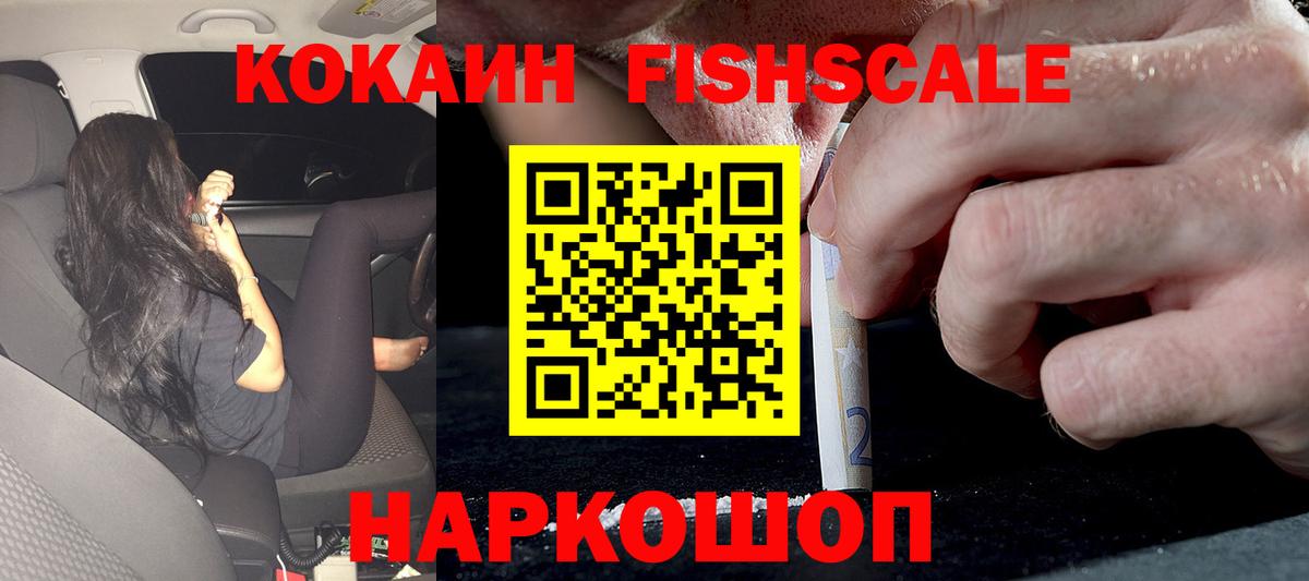 Кокаин 98%  Кокаин  купить наркотики цена  Верхняя Пышма  Вход с VPN  Cocaine Fish Scale 